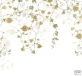 Fototapeta Hedera R3-025