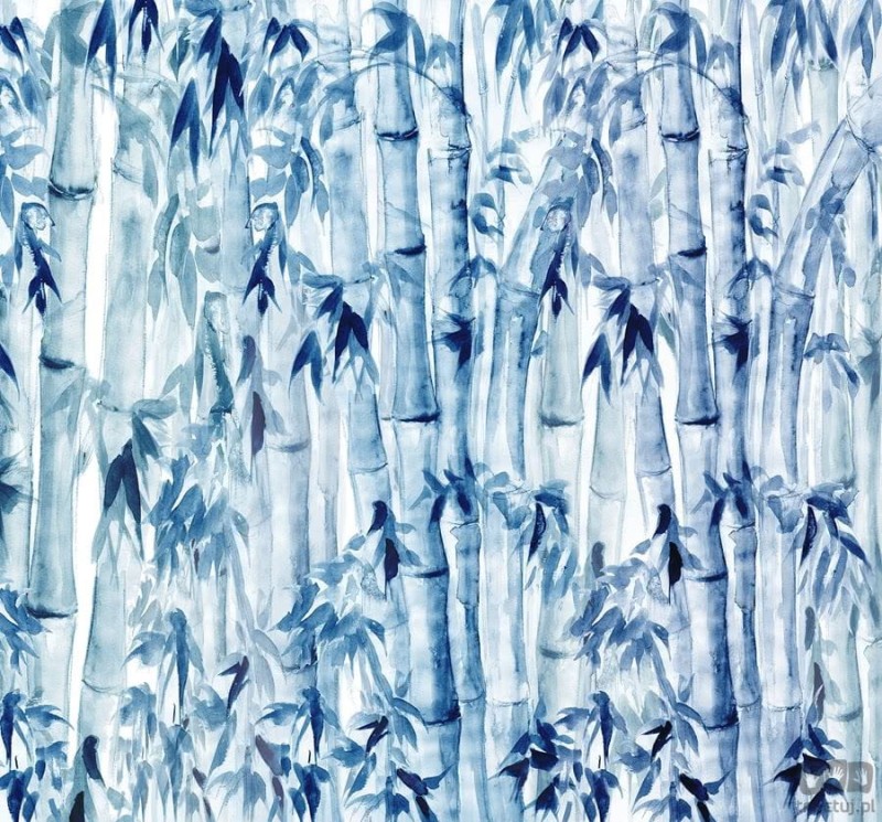 Fototapeta Bamboos R3-033