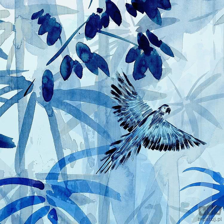 Fototapeta Blue Jungle R3-035