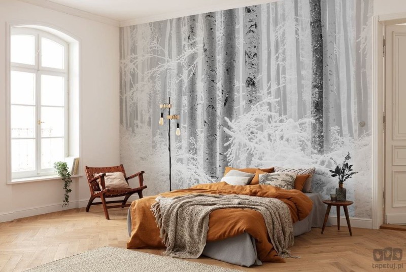 Fototapeta Winter Wood R4-043