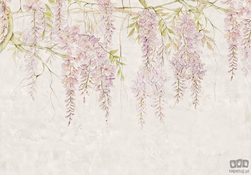 Fototapeta Wisteria R4-050
