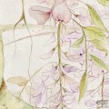 Fototapeta Wisteria R4-050