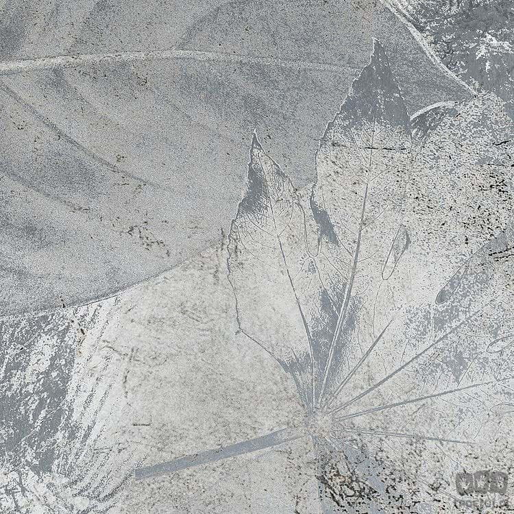 Fototapeta Flower Fossil RSX4-020
