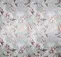 Fototapeta Koi RSX6-001