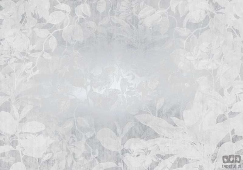 Fototapeta Flora RSX8-057
