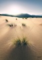 Fototapeta Vivid Dunes SHX4-091