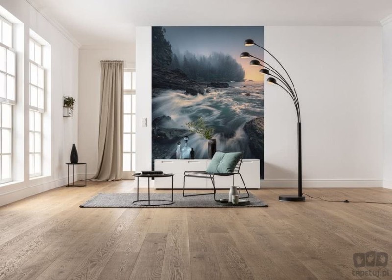 Fototapeta Cry of the Sea SHX4-129