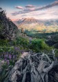 Fototapeta Flowering Tales SHX4-130