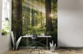 Fototapeta Goblins Woods SHX5-037