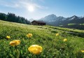 Fototapeta Alpenglück SHX8-003