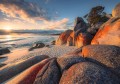 Fototapeta Bay of Fires SHX8-132