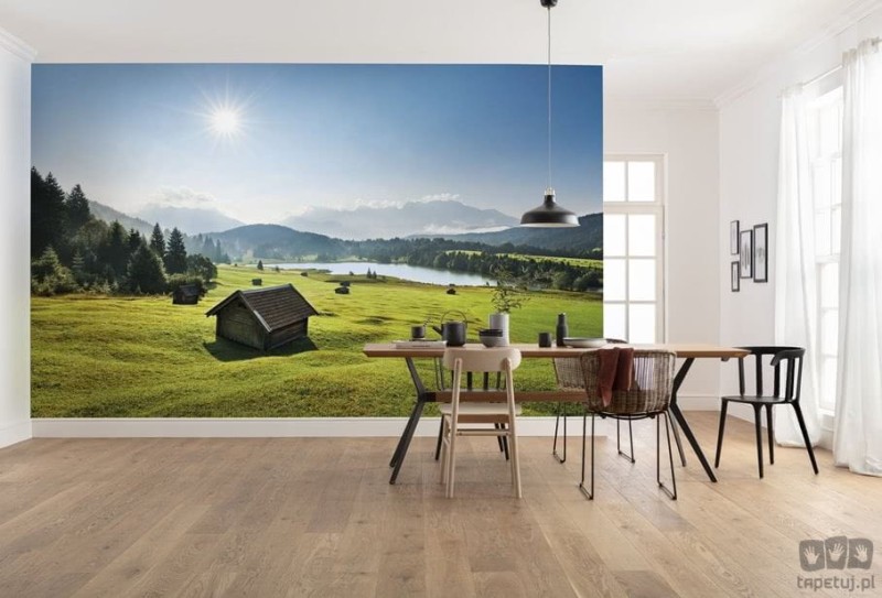 Fototapeta Bergwiese vor Karwendel SHX9-009