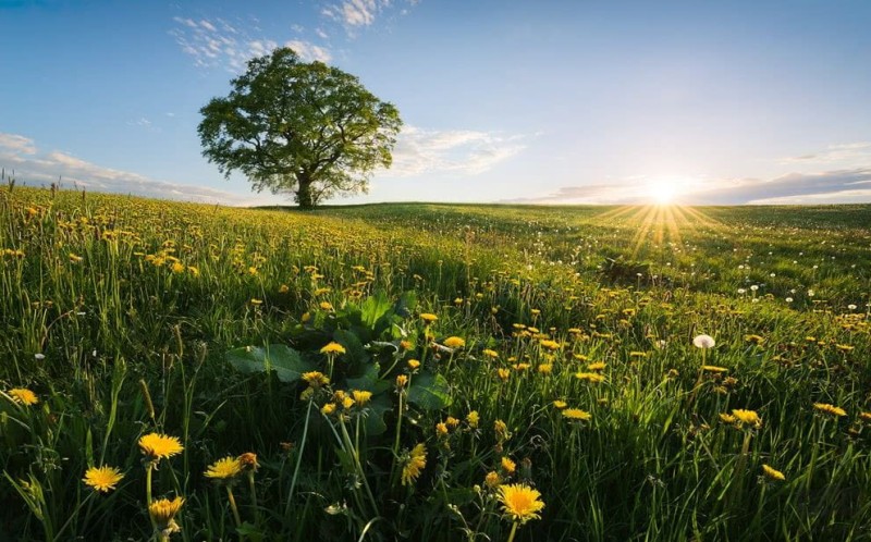 Fototapeta Frühling auf dem Land SHX9-034