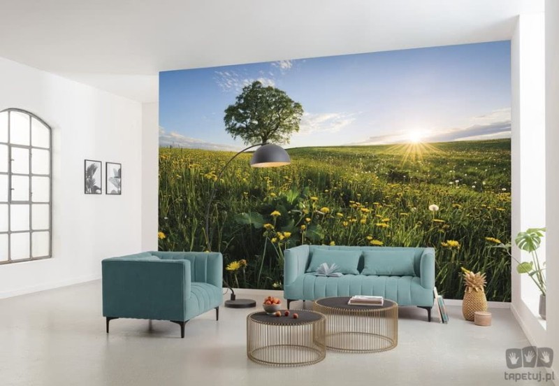 Fototapeta Frühling auf dem Land SHX9-034