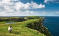 Fototapeta Green Ireland SHX9-040