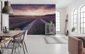 Fototapeta Lavender Dream SHX9-052