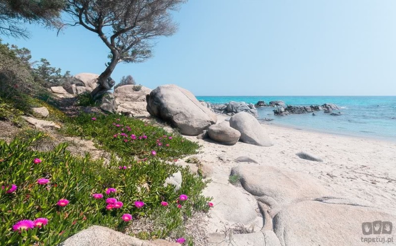 Fototapeta Mediterrane Träume SHX9-056