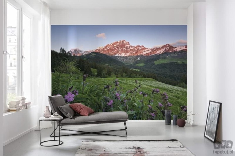 Fototapeta Picturesque Switzerland SHX9-069