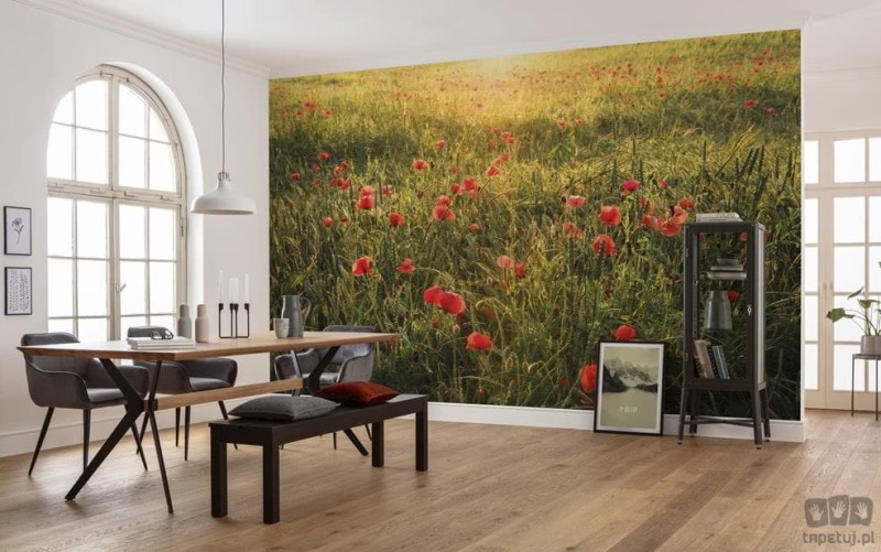 Fototapeta Poppy World I SHX9-071
