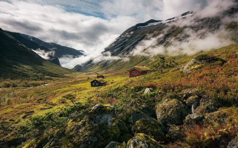 Fototapeta Pure Norway SHX9-073