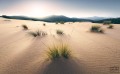 Fototapeta Vivid Dunes SHX9-091