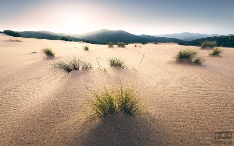 Fototapeta Vivid Dunes SHX9-091