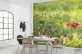 Fototapeta Wiesenzauber II SHX9-094