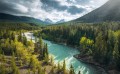 Fototapeta Wild Canada SHX9-095