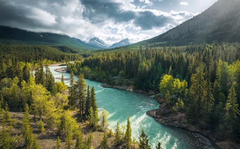 Fototapeta Wild Canada SHX9-095
