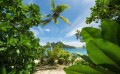 Fototapeta Cast Away Jungle SHX9-106