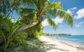 Fototapeta Fiji Dreams Boat SHX9-109