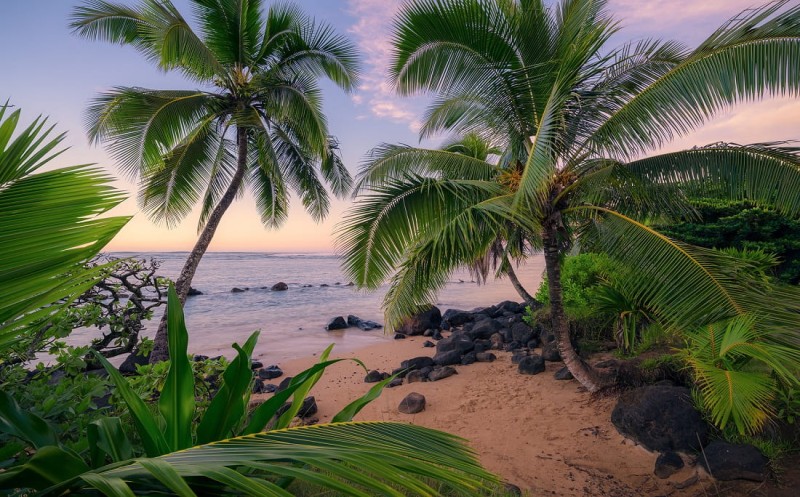 Fototapeta Hawaiian Dreams SHX9-116