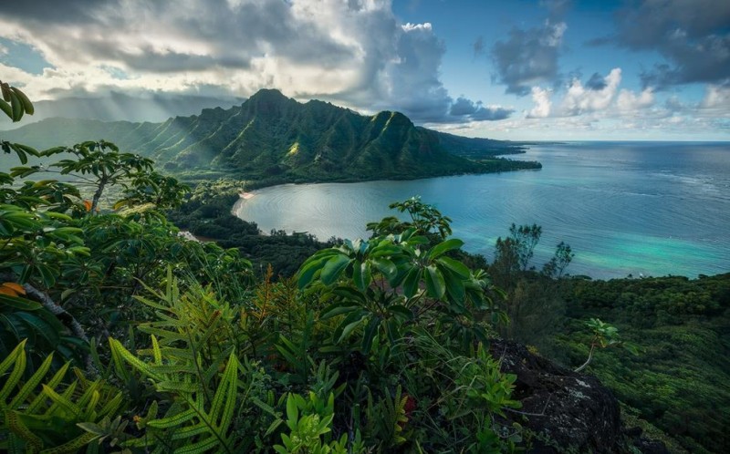 Fototapeta Jurassic Island SHX9-117