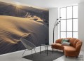 Fototapeta Mojave Heights SHX9-120
