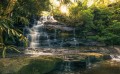 Fototapeta Golden Falls SHX9-131