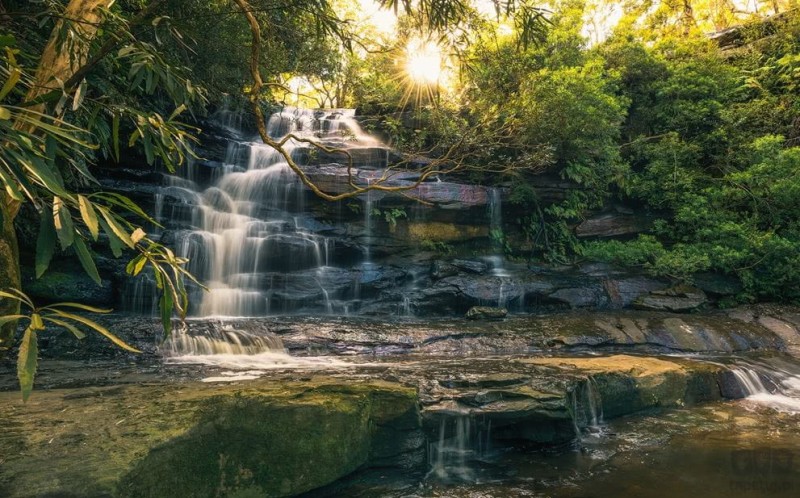 Fototapeta Golden Falls SHX9-131