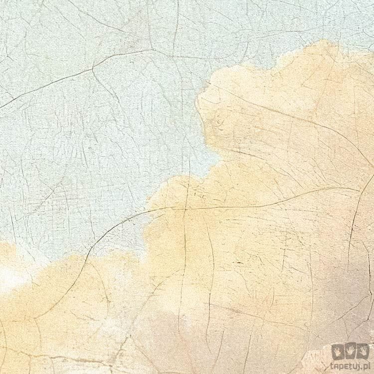 Fototapeta Relic Clouds D1-014