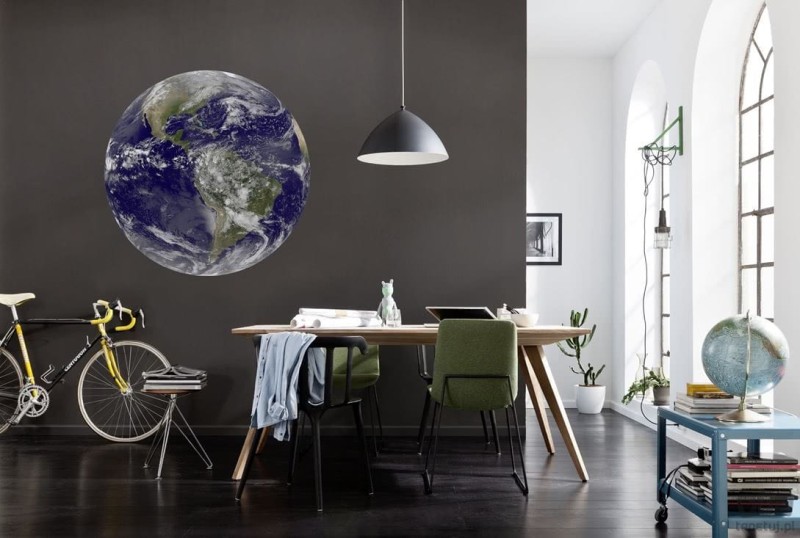 Fototapeta Earth D1-016