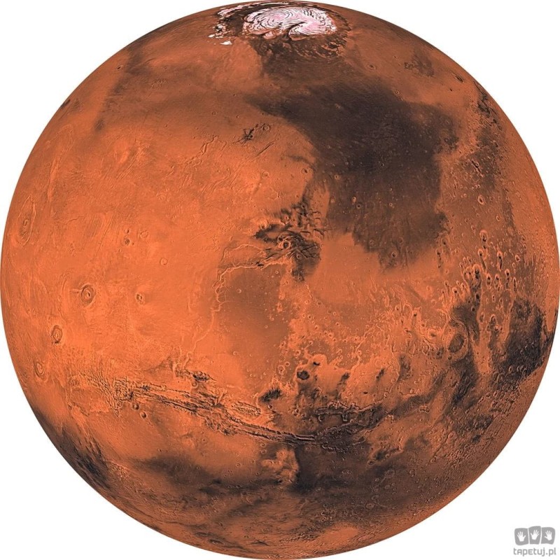 Fototapeta Mars D1-018