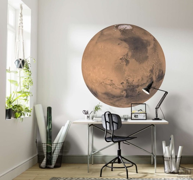 Fototapeta Mars D1-018