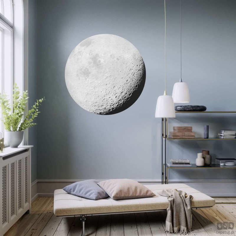 Fototapeta Luna D1-020