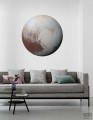 Fototapeta Pluto D1-021