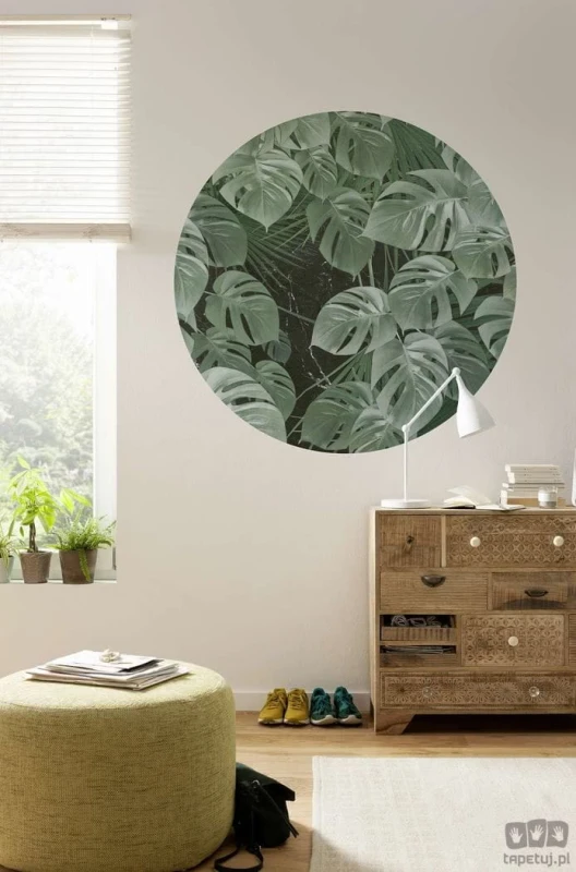 Fototapeta Novel Monstera D1-023