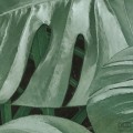 Fototapeta Novel Monstera D1-023