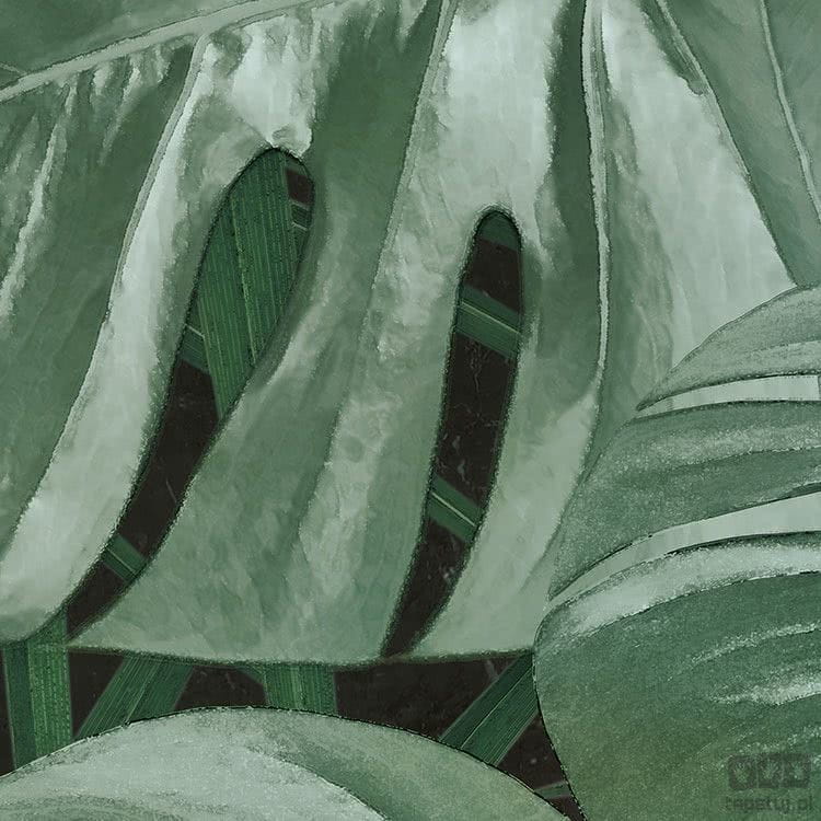 Fototapeta Novel Monstera D1-023