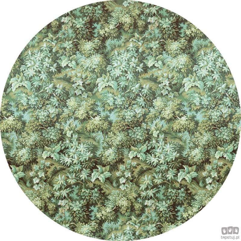 Fototapeta Greenery D1-024