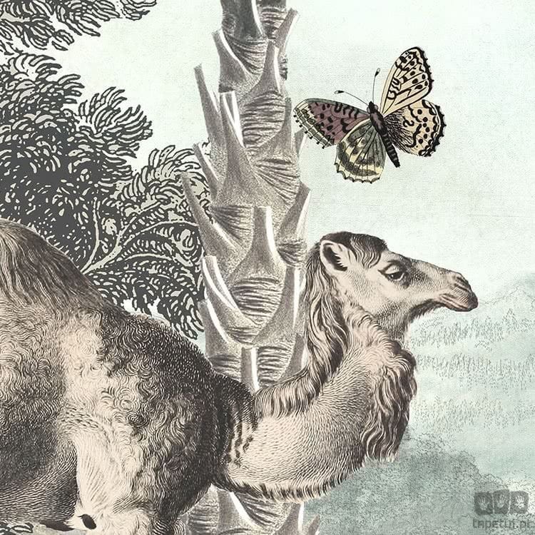 Fototapeta Utopia D1-028