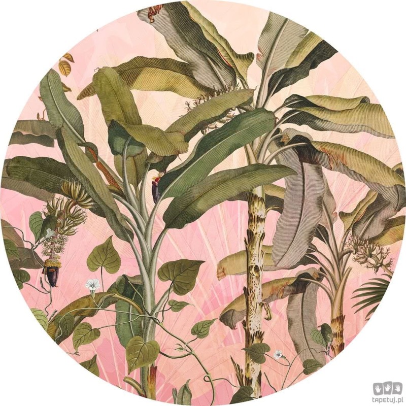 Fototapeta Botany D1-029