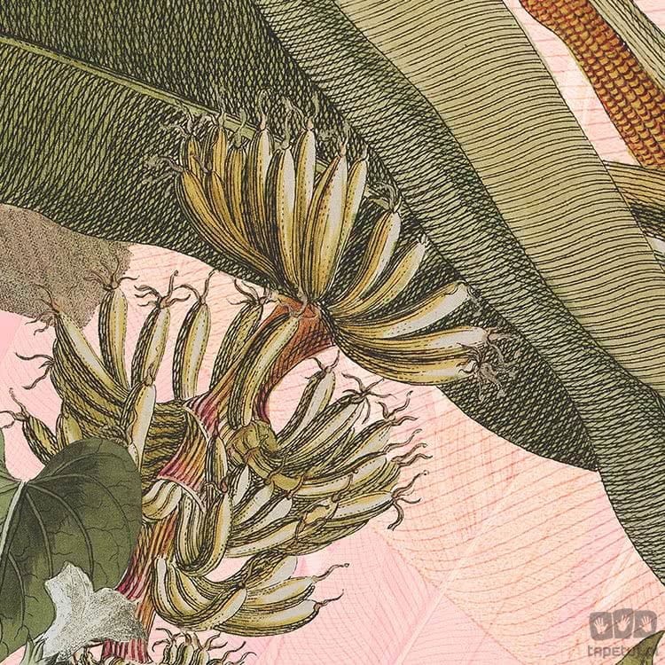 Fototapeta Botany D1-029