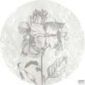 Fototapeta Barock Beauty D1-031